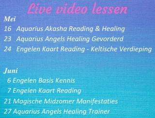 Live videolessen bij Engelencursus van Annelies Hoornik